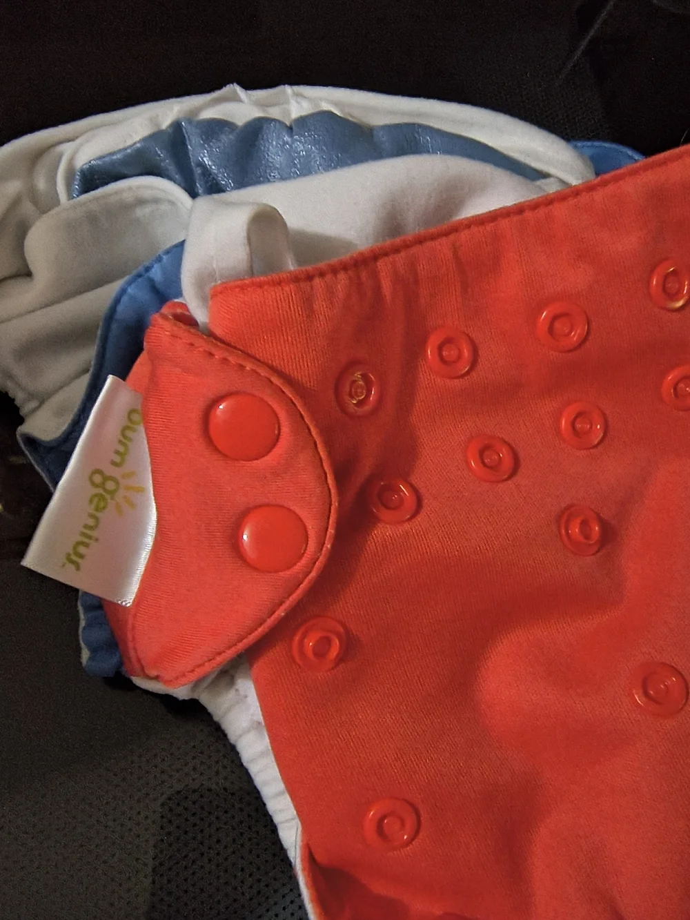 Kids Swim Diaper Cover - Black, White, Neon Green, Red, Blue Turtle Print